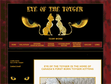 Tablet Screenshot of eyeofthetoyger.com